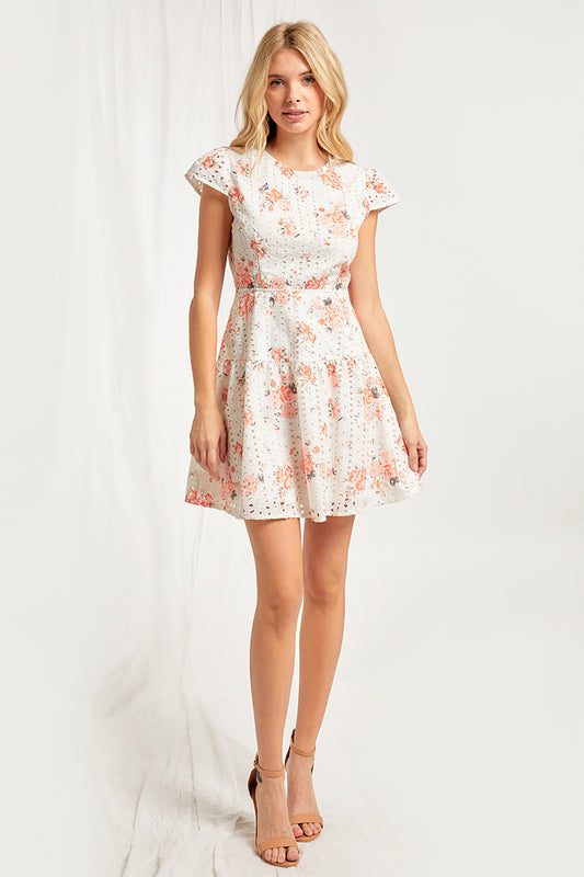 Ani Printed Cotton Eyelet Mini Dress