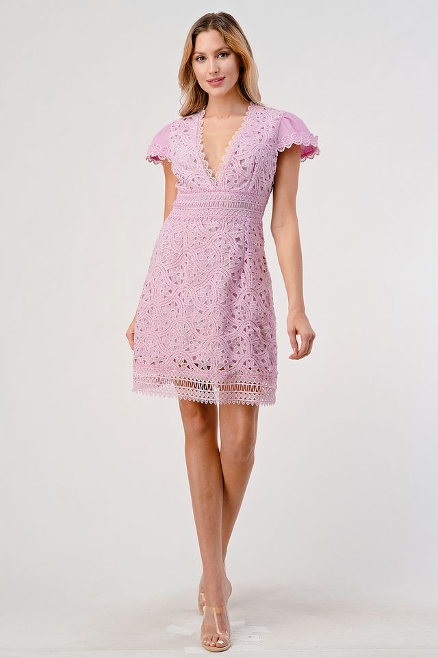 Edith Cap Sleeve Lace Mini Dress