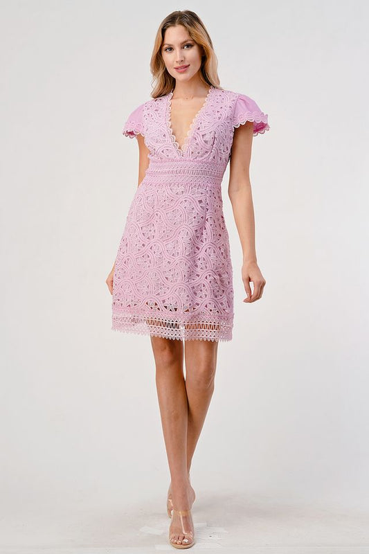 Edith Cap Sleeve Lace Mini Dress