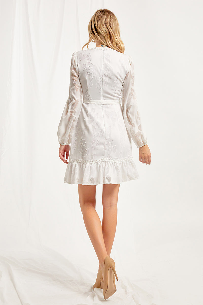 Polly Long Sleeve V-Neck Mini Dress