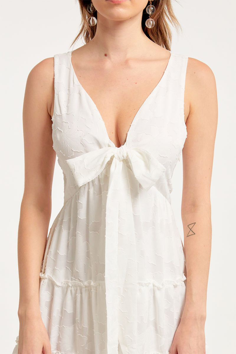 Daisy Burnout Chiffon Mini Dress With Bow